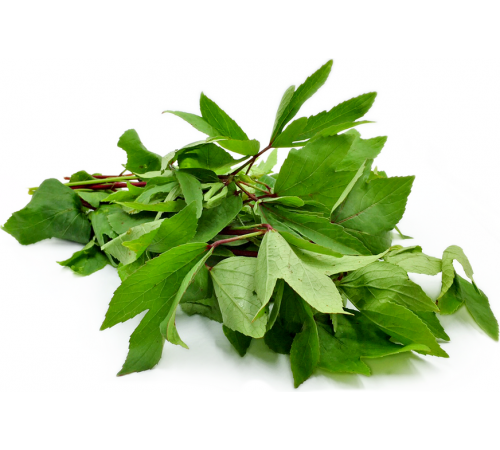 Gongura or Sorrel Leaves Pickle Andhra style 
